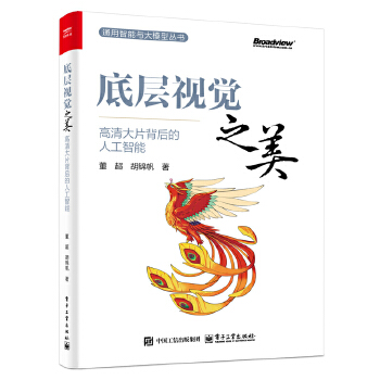 《 底层视觉之美：高清大片背后的人工智能》[43M]百度网盘|pdf下载|亲测有效
