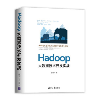 《Hadoop大数据技术开发实战张伟洋著》[81M]百度网盘|pdf下载|亲测有效