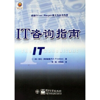《solventoIT丛书：IT咨询指南》[71M]百度网盘|pdf下载|亲测有效