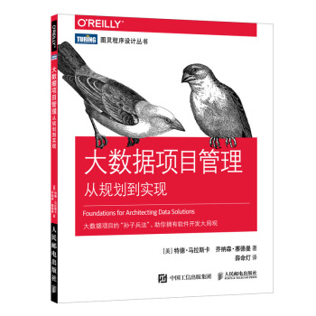 《大数据项目管理从规划到实现》[63M]百度网盘|pdf下载|亲测有效