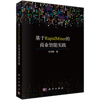 《基于RapidMiner的商业智能实践》[80M]百度网盘|pdf下载|亲测有效