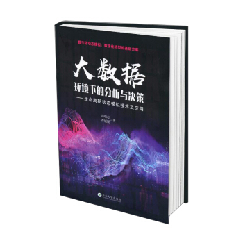 《大数据环境下的分析与决策：生命周期动态模拟技术及应用》[51M]百度网盘|pdf下载|亲测有效