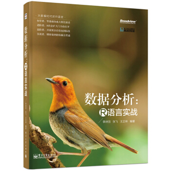 《大数据时代的R语言·数据分析：R语言实战》[87M]百度网盘|pdf下载|亲测有效