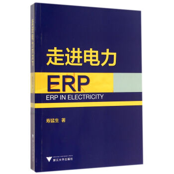 《走进电力ERP》[89M]百度网盘|pdf下载|亲测有效