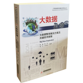 《大数据浪潮：大数据整体解决方案及关键技术探索》[63M]百度网盘|pdf下载|亲测有效