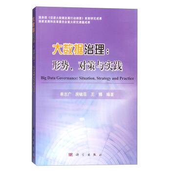 《大数据治理：形势、对策与实践》[72M]百度网盘|pdf下载|亲测有效