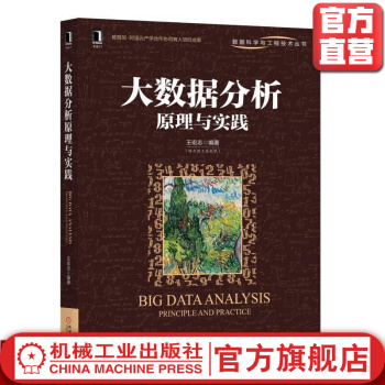 《大数据分析原理与实践王宏志数据科学与工程技术丛书》[84M]百度网盘|pdf下载|亲测有效