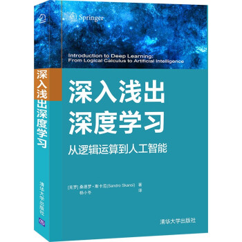 《深入浅出深度学习：从逻辑运算到人工智能》[91M]百度网盘|pdf下载|亲测有效