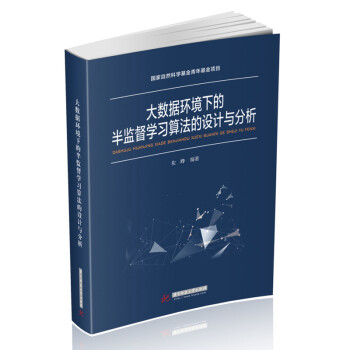 《大数据环境下的半监督学习算法的设计与分析》[51M]百度网盘|pdf下载|亲测有效