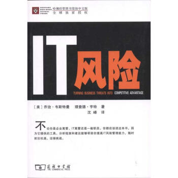 《IT风险》[76M]百度网盘|pdf下载|亲测有效