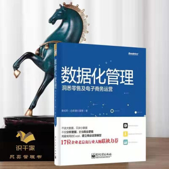 《数据化管理：洞悉零售及电子商务运营识干家企业管理S》[72M]百度网盘|pdf下载|亲测有效