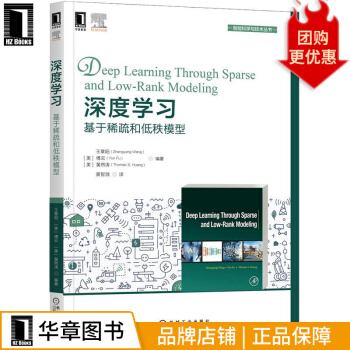 《深度学习：基于稀疏和低秩模型》[54M]百度网盘|pdf下载|亲测有效