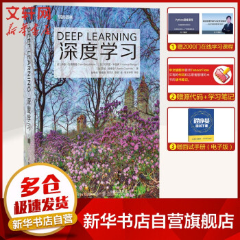《机器学习系列：深度学习》[42M]百度网盘|pdf下载|亲测有效
