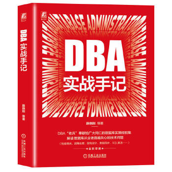 《 DBA实战手记 薛晓刚 等》[82]百度网盘|亲测有效|pdf下载