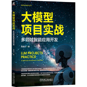 《 大模型项目实战：多领域智能应用开发 高强文》[91]百度网盘|亲测有效|pdf下载
