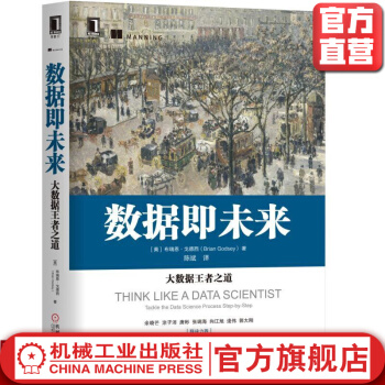 《数据即未来：大数据*者之道布瑞恩·戈德西》[51M]百度网盘|亲测有效|pdf下载
