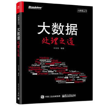 《大数据处理之道》[51M]百度网盘|亲测有效|pdf下载