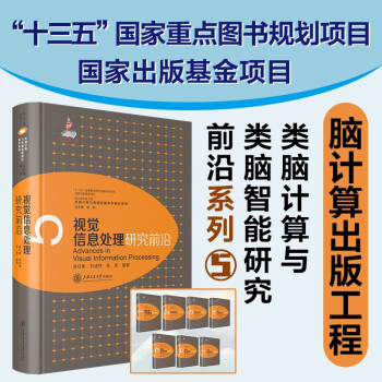 《视觉信息处理研究前沿查红彬刘成林吴思类脑计算与类脑智能研究前沿系列》[23M]百度网盘|亲测有效|pdf下载