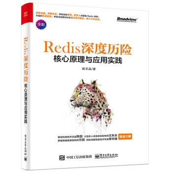 《Redis深度历险》[27M]百度网盘|亲测有效|pdf下载