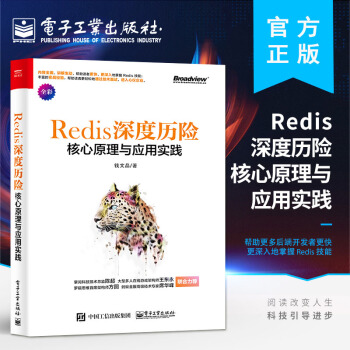 《Redis深度历险核心原理与应用实践钱文品著Redis教程书籍深入理》[28M]百度网盘|亲测有效|pdf下载