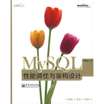 《MySQL性能调优与架构设计》[44M]百度网盘|亲测有效|pdf下载