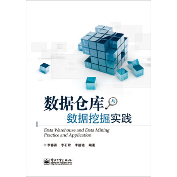 《数据仓库与数据挖掘实践》[48M]百度网盘|亲测有效|pdf下载