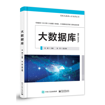 《大数据库——高级大数据人才培养丛书》[55M]百度网盘|亲测有效|pdf下载