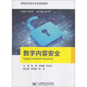 《数字内容安全》[38M]百度网盘|亲测有效|pdf下载