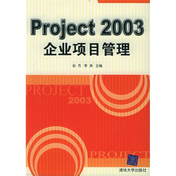 《Project企业项目管理》[20M]百度网盘|亲测有效|pdf下载
