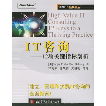 《IT咨询：项关键指标剖析》[28M]百度网盘|亲测有效|pdf下载