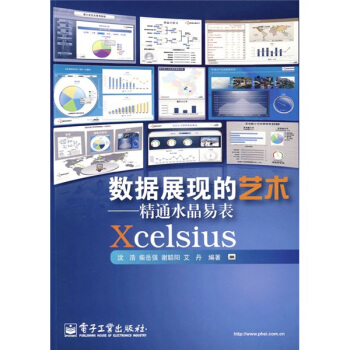 《数据展现的艺术：精通水晶易表Xcelsius》[33M]百度网盘|亲测有效|pdf下载