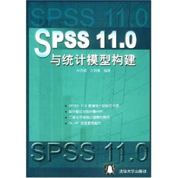 《SPSS.0与统计模型构建》[57M]百度网盘|亲测有效|pdf下载