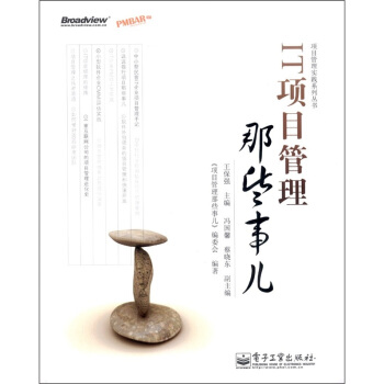 《IT项目管理那些事儿》[55M]百度网盘|亲测有效|pdf下载