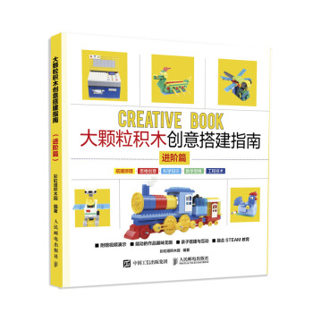 《大颗粒积木创意搭建指南》[38M]百度网盘|亲测有效|pdf下载